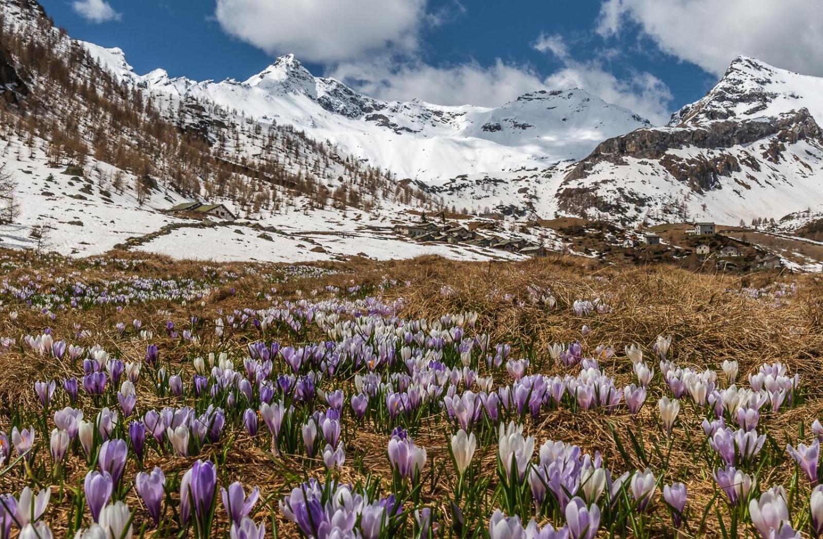 Belcolle, Il Bello Della Tranquillita Chiavenna Kültér fotó